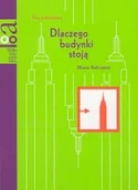Książki o kulturze i sztuce - DLACZEGO BUDYNKI STOJĄ - miniaturka - grafika 1