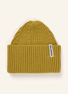 Salomon Czapka Snowbird gruen - Czapki damskie - miniaturka - grafika 1