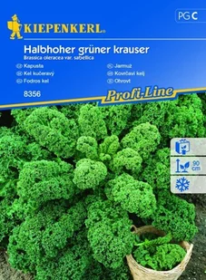Jarmuż Halbhoher Grüner Krauser – Kiepenkerl - Nasiona i cebule - miniaturka - grafika 1