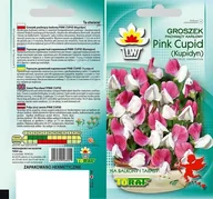 Nasiona i cebule - Nasiona Groszek Pachnący Pink Cupid Kupidyn Toraf - miniaturka - grafika 1
