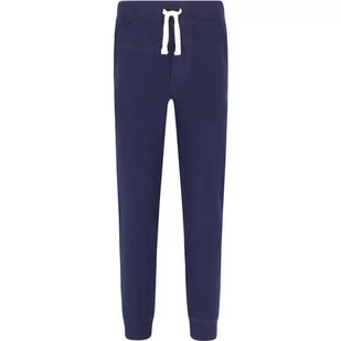 POLO RALPH LAUREN Spodnie dresowe | Regular Fit - Spodnie i spodenki dla chłopców - miniaturka - grafika 1