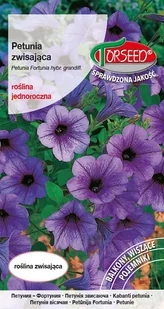 nasiona Petunia Fortunia zwisająca fioletowe 0,02g - Torseed - Nasiona i cebule - miniaturka - grafika 1