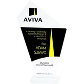 Gadżety dla kibiców - Trofeum szklane grawerowane + wypełnienie farbą - miniaturka - grafika 1