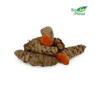 Szybkie dania obiadowe - 2 Kg - Opakowanie Zbiorcze (Kg) - Kurkuma Świeża Bio (Około 2 Kg) - miniaturka - grafika 1