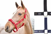 Kantary dla koni - Horze Kantar HAMPTONS - miniaturka - grafika 1