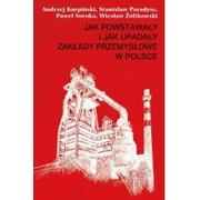 Historia świata - Muza Karpiński Andrzej, Paradysz Stanisław, Soroka Paweł, Żółtkowski Wiesław Jak powstawały i jak upadały zakłady przemysłowe w Polsce - miniaturka - grafika 1