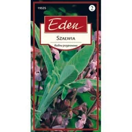 Nasiona i cebule - Szałwia lekarski 1 g Eden - miniaturka - grafika 1