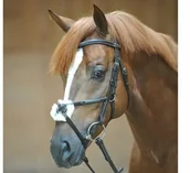 Ogłowia - Kavalkade Ogłowie DIANDRO - miniaturka - grafika 1