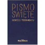 Religia i religioznawstwo - WYDAWNICTWO STAPIS PISMO ŚWIĘTE NOWEGO TESTAMENTU MINI - miniaturka - grafika 1