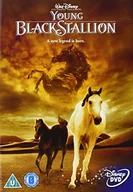 Pozostałe filmy DVD - Movie - Young Black Stallion - miniaturka - grafika 1