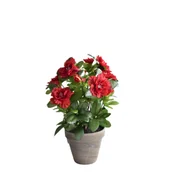 Sztuczne kwiaty - Azalia czerwona w szarej doniczce 11,5 x 34 cm 9210 - miniaturka - grafika 1