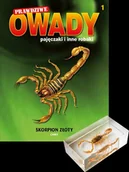 Czasopisma - Prawdziwe Owady Pajęczaki i Inne Robaki Reedycja - miniaturka - grafika 1