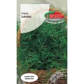 Nasiona i cebule - Nasiona Koper Ogrodowy Lukullus 5g - miniaturka - grafika 1