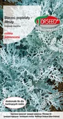 Nasiona i cebule - Nasiona Mrozy (Starzec popielaty) popielate 0,5g - Torseed - miniaturka - grafika 1
