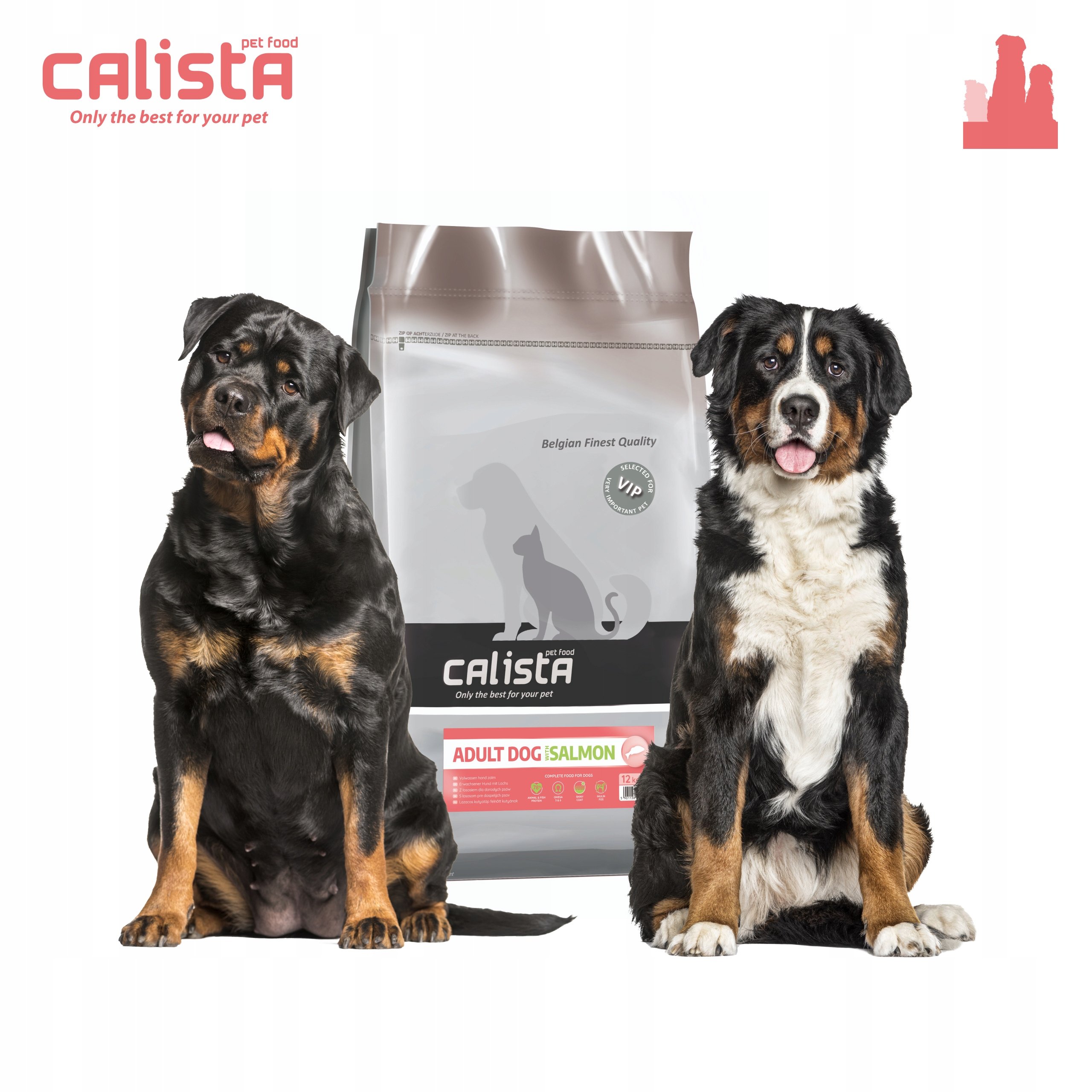 CALISTA - Łosoś średnie i duże rasy - sucha karma dla psa - 12kg