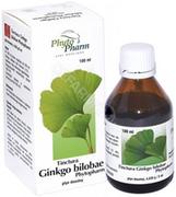 Serce i układ krążenia - PHYTOPHARM KLEKA S.A. PHYTOPHARM KLEKA S.A Tinctura ginkgo bilobae 100 ml Phytopharm - miniaturka - grafika 1