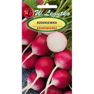 Nasiona i cebule - RZODKIEWKA KRAKOWIANKA - miniaturka - grafika 1