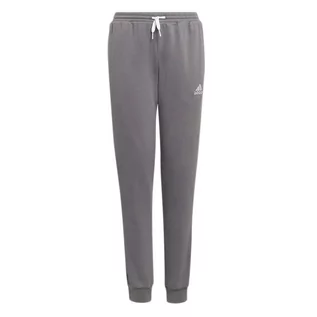 Spodnie i spodenki dla dziewczynek - Spodnie adidas Entrada 22 Sweat Pants H57519 - szare - grafika 1