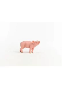 Prosiątko - Albumy krajoznawcze - miniaturka - grafika 1