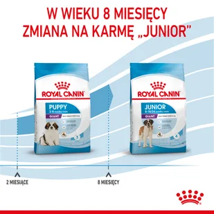 ROYAL CANIN Giant Puppy 1kg | - Sucha karma dla psów - miniaturka - grafika 7