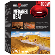 Akcesoria do terrarium - Repti Planet RP Żarówka Infrared HEAT 100W - miniaturka - grafika 1