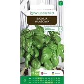 Nasiona i cebule - Bazylia właściwa nasiona W.Legutko - miniaturka - grafika 1