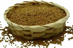 Gorczyca biała polska NATURHERB, ziarno 200 g - Zdrowa żywność - miniaturka - grafika 1