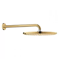 Pisuary - GROHE 26066GL0 RSH Cosmopolitan 310 headshower set 9,5l - miniaturka - grafika 1
