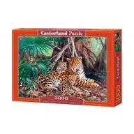 Puzzle - Castorland Jaguary w dżungli 300280 - miniaturka - grafika 1
