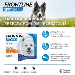 Frontline Spot-on dla psów  - L: 20-40 kg (3 pipety x 2,68 ml) - Artykuły przeciw pasożytom - miniaturka - grafika 1