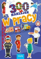 Literatura popularno naukowa dla młodzieży - W pracy 300 naklejek - miniaturka - grafika 1