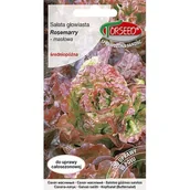 Nasiona i cebule - TORSEED nasiona SAŁATA GŁOWIASTA MASŁOWA ŚREDNIO PÓŹNA ROSEMARRY 0,5 G - miniaturka - grafika 1