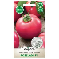 Nasiona i cebule - Pomidor wysoki szklarniowy Roselady F1 nasiona 0,1g nasiona - WegAna - miniaturka - grafika 1