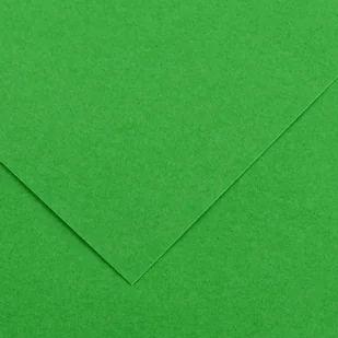 Canson Karton rys. (I) 70x100 op.25 - j.zielony 29 - Szkolne artykuły papiernicze - miniaturka - grafika 1