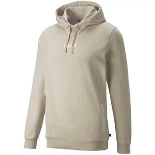 Bluza treningowa męska Puma Modern Basics Hoodie TR - Bluzy sportowe męskie - miniaturka - grafika 1