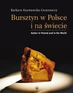 Albumy krajoznawcze - Bursztyn w Polsce i na świecie. Amber in Poland and in the World - miniaturka - grafika 1