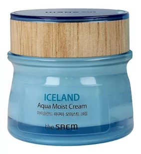The SAEM The SAEM Moist Cream Krem do ciała 60ml - Balsamy i kremy do ciała - miniaturka - grafika 1