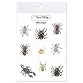 Magnesy - Magnesy Pajęczaki - miniaturka - grafika 1