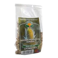 Herbata - NATURA WITA NATURA WITA SZCZEĆ POSPOLITA KORZEŃ 100G - miniaturka - grafika 1