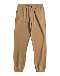 Billabong Joggers Arch PT męskie zielone, S - Spodnie męskie - miniaturka - grafika 1