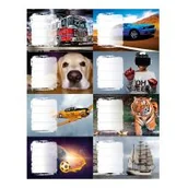 Szkolne artykuły papiernicze - Panta Plast Naklejki na zeszyt x 24 sztuki Boys Panta-Plast - miniaturka - grafika 1