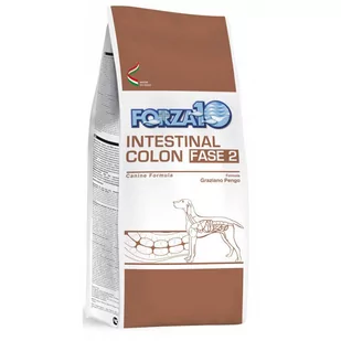 Forza10 Intestinal Colon Fase 2 4 kg - Sucha karma dla psów - miniaturka - grafika 1
