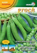 Nasiona i cebule - Groch Cud Kelwedonu 20g / L / - miniaturka - grafika 1
