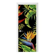 Naklejki na ścianę - Naklejka na drzwi HOMEPRINT Rośliny tropikalne 75x205 cm - miniaturka - grafika 1