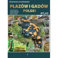 Poradniki hobbystyczne - Ilustrowana encyklopedia płazów i gadów Polski - GERARD GIERLIŃSKI, Grabowsk - miniaturka - grafika 1