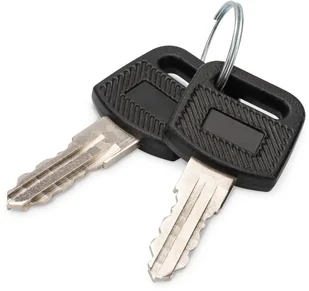 Digitus Klucze do obudów naściennych serii Dynamic, serii SOHO 10" i 19", szaf ładujących DN-KEY-WM - Akcesoria do szaf serwerowych - miniaturka - grafika 1