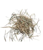 Dekoracje do terrarium - EXO PLANET Bamboo Leaves – liście bambusa 40g - miniaturka - grafika 1