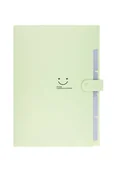 Teczki i skoroszyty - Beniamin, Plastikowa Teczka Z Przegródkami, Zielona, A4 - miniaturka - grafika 1