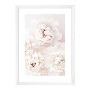 Obraz Piwonia biała 50 x 70 cm - Obrazy i zdjęcia na płótnie Obraz Piwonia biała 50 x 70 cm - Obrazy i zdjęcia na płótnie - miniaturka - grafika 1