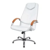 Krzesła i taborety kosmetyczne - DINO I Fotel kosmetyczny z podłokietnikami Rodzaj obicia: Skaj Basic, Podłokietnik: Tworzywo - miniaturka - grafika 1